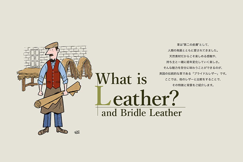 What is Leather? and Bridle Leather-ブライドルレザーとは？-